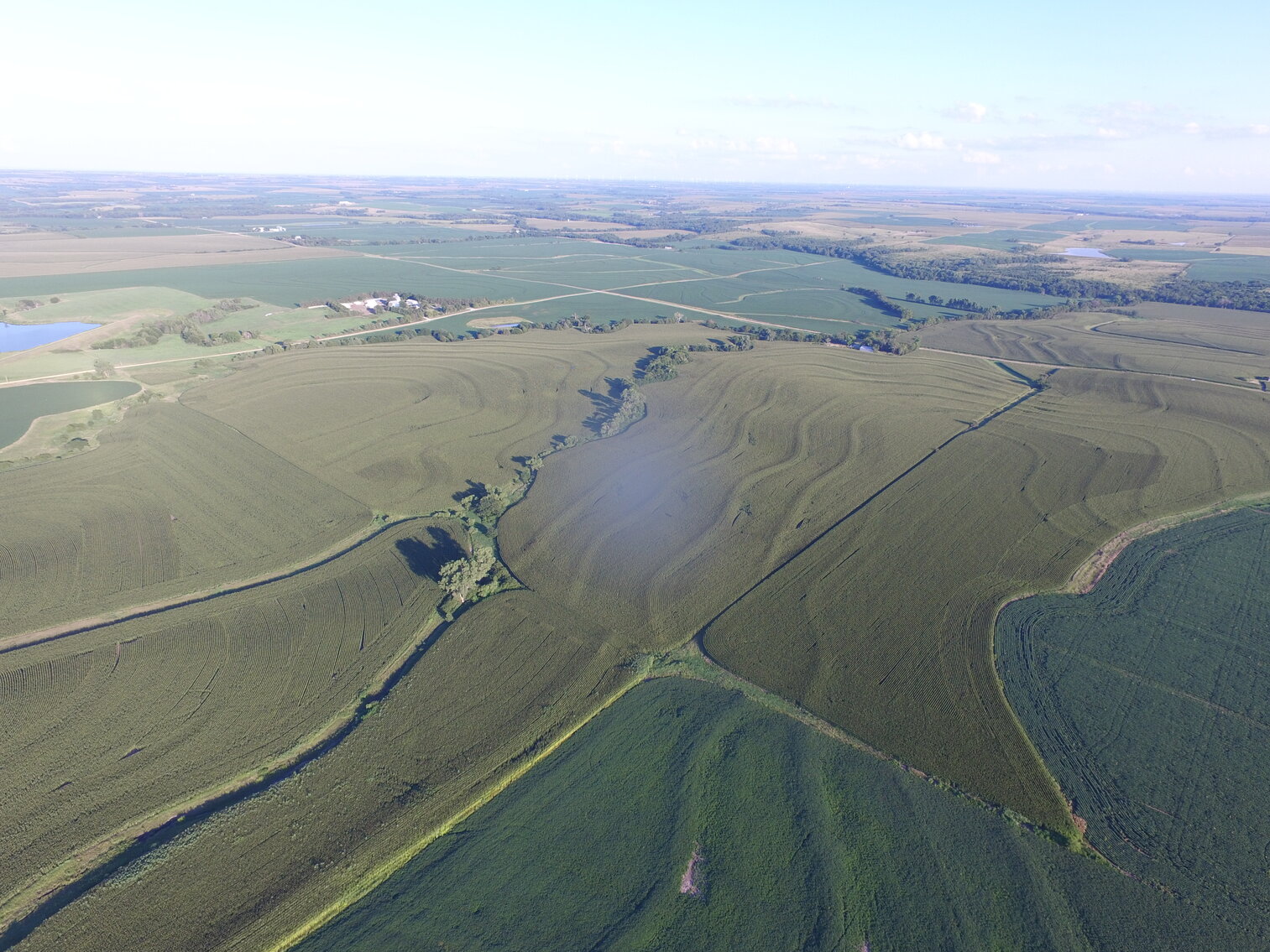 155 +/- Acres Gage County Nebraska Land Auction