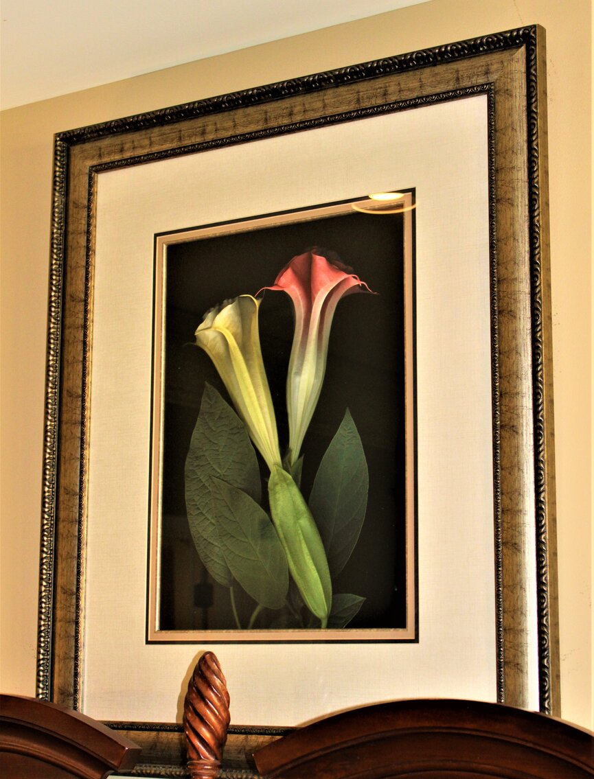 Image for UPSCALE ESTATE AUCTION