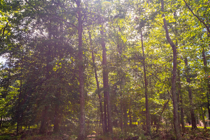 Image for Henrico County, VA Sale of Tax Delinquent Real Estate