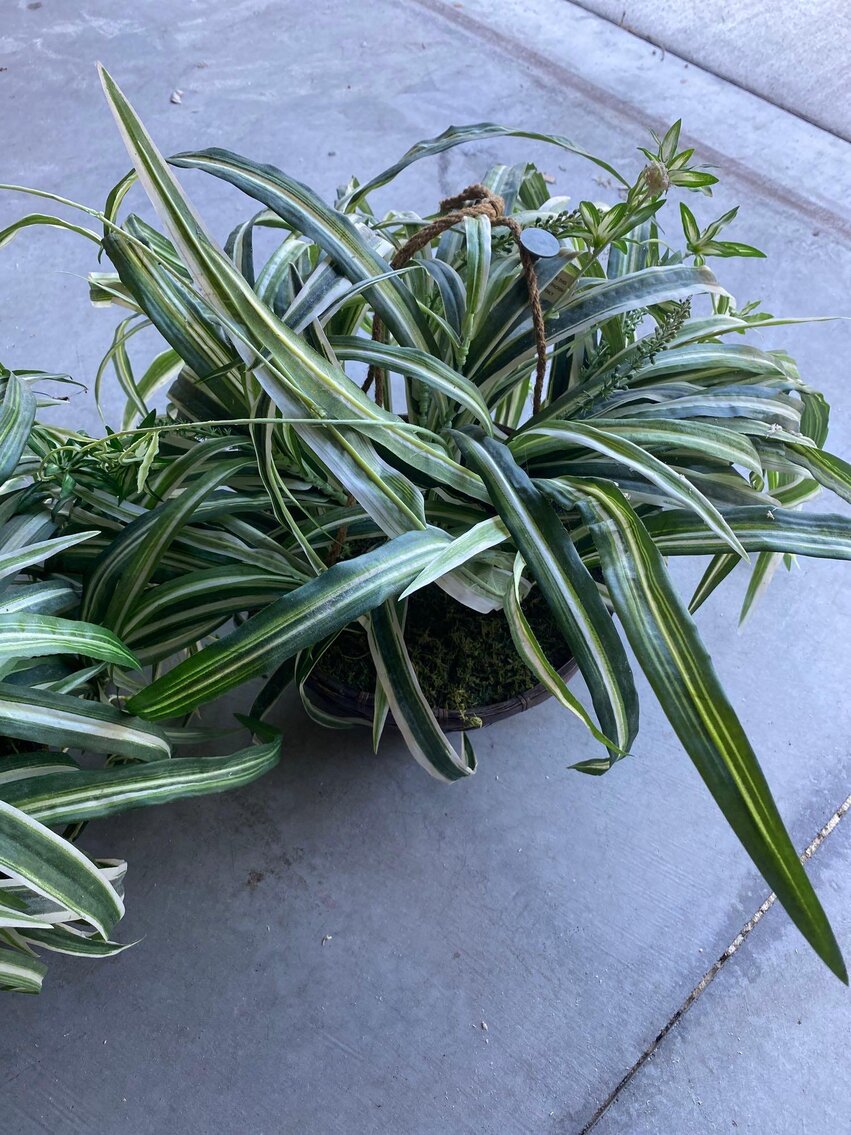 Image for Ford Edge, Electronics, Furniture, Home Decor, Outdoor Items, Tools/Auto Items, Comic Books (Weckerly)