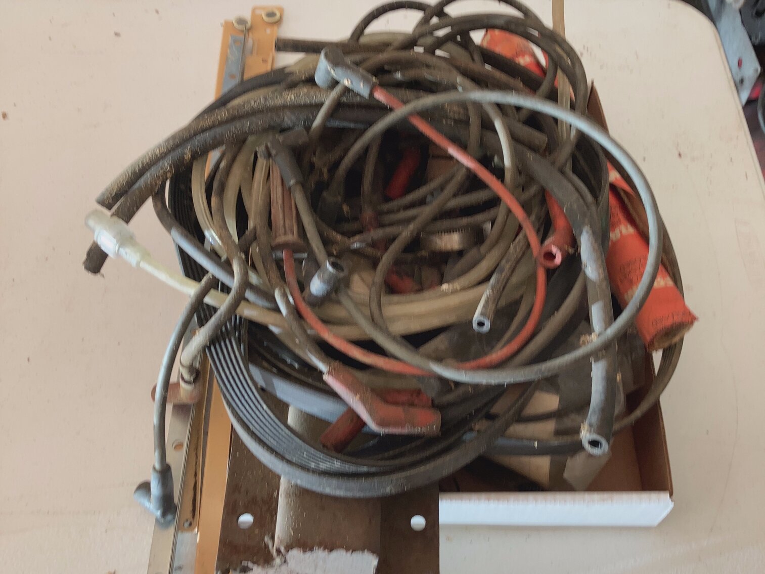 Hoses and Belts