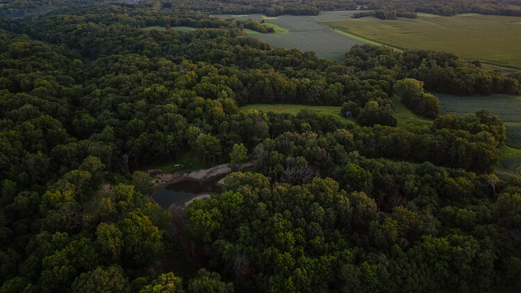 Image for Cass County 161Acres
