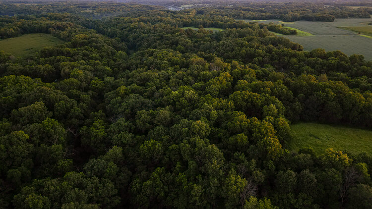 Image for Cass County 161Acres