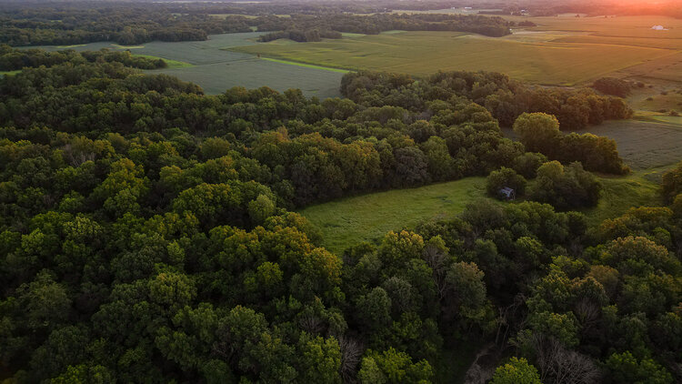 Image for Cass County 161Acres