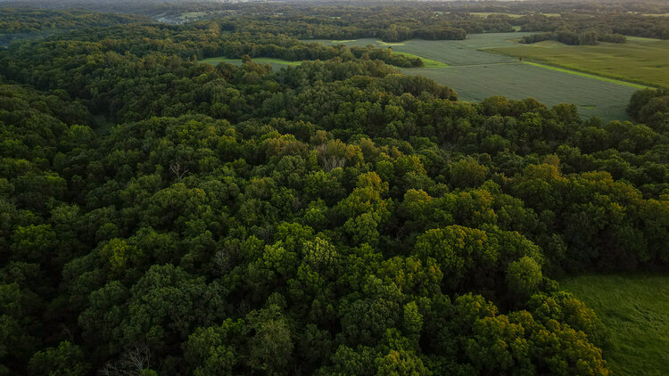 Image for Cass County 161Acres
