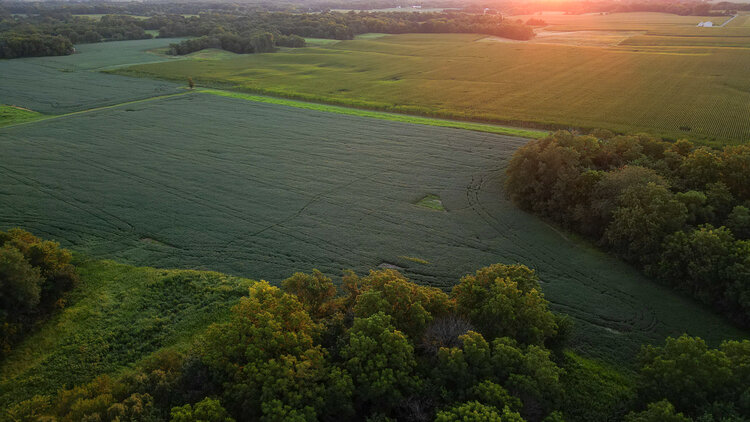 Image for Cass County 161Acres