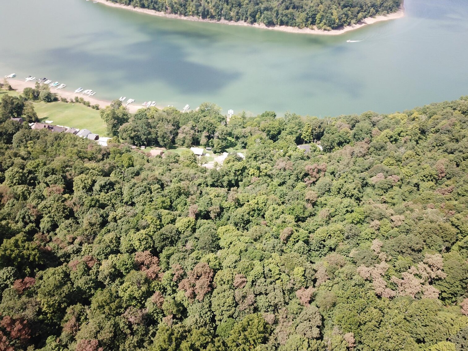 Image for SOLD $52,800 - 10 Acres Overlooking Yough Lake Selling to the Highest Bidder