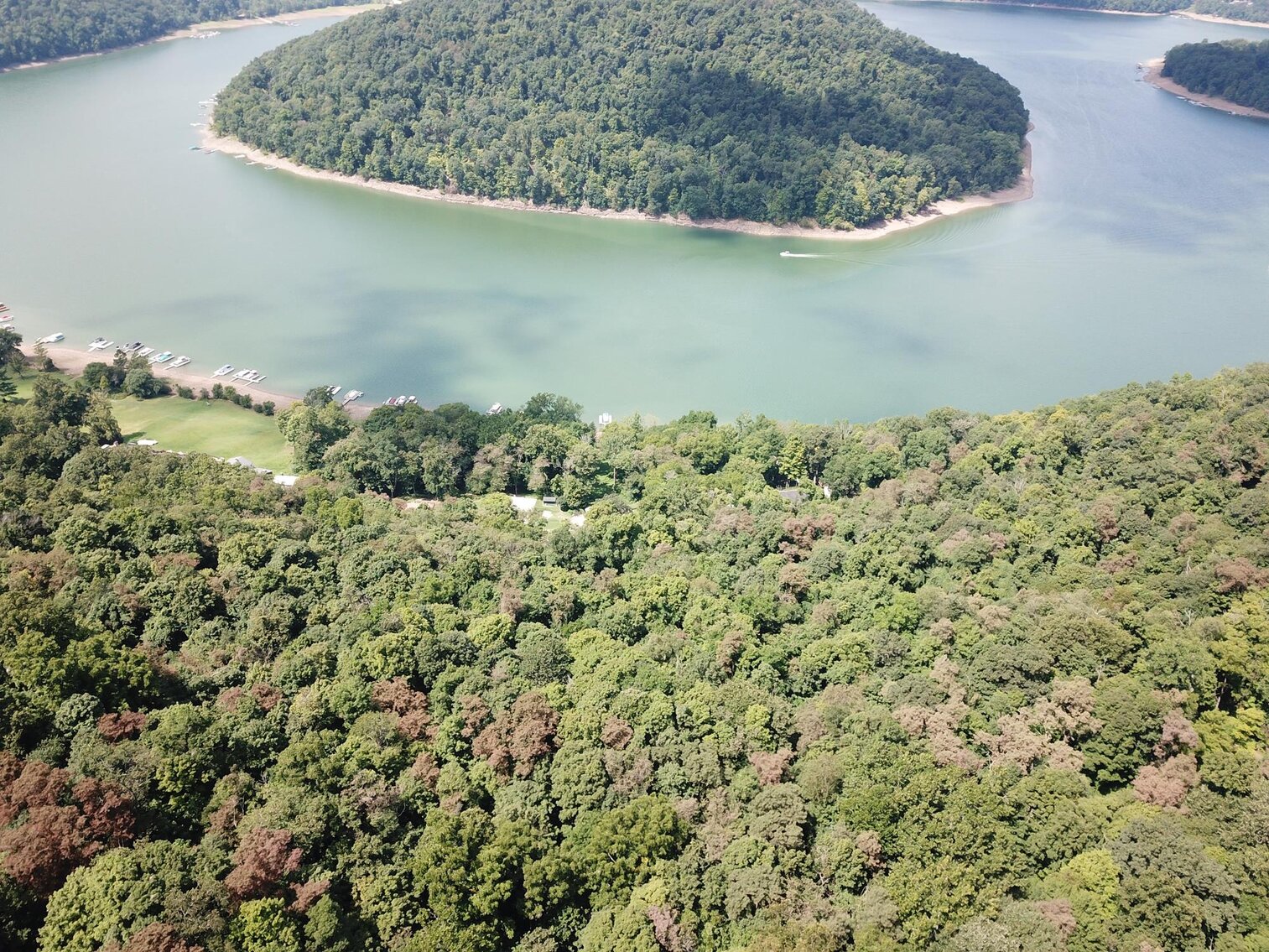 Image for SOLD $52,800 - 10 Acres Overlooking Yough Lake Selling to the Highest Bidder