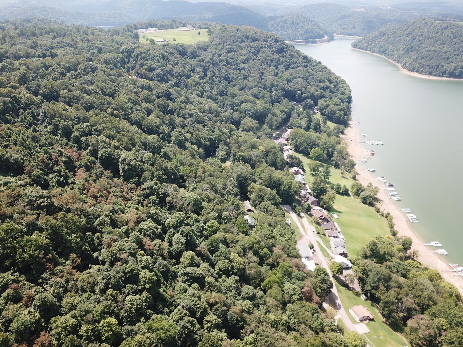 Image for SOLD $52,800 - 10 Acres Overlooking Yough Lake Selling to the Highest Bidder