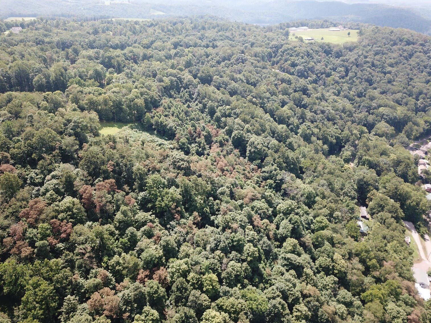 Image for SOLD $52,800 - 10 Acres Overlooking Yough Lake Selling to the Highest Bidder