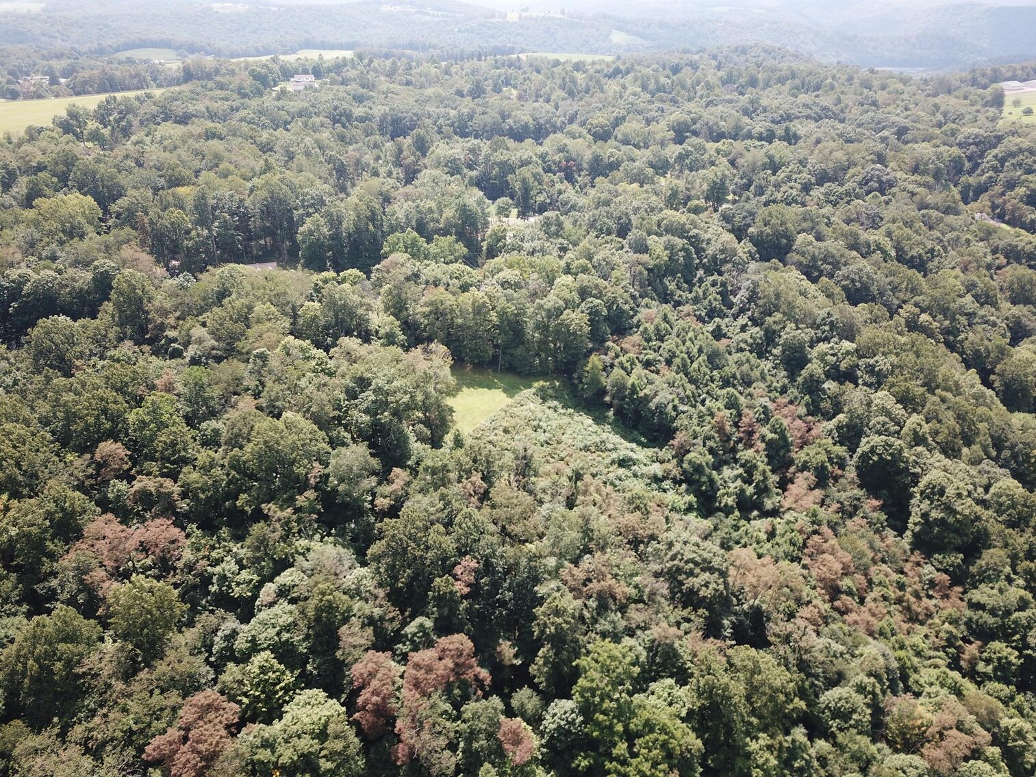 Image for SOLD $52,800 - 10 Acres Overlooking Yough Lake Selling to the Highest Bidder