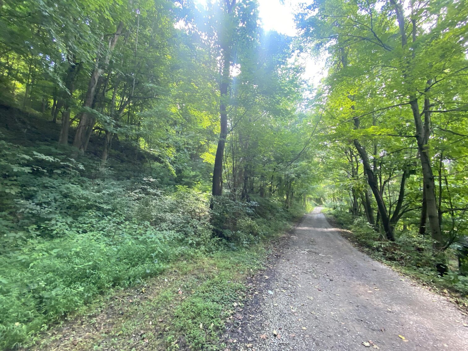 Image for SOLD $52,800 - 10 Acres Overlooking Yough Lake Selling to the Highest Bidder