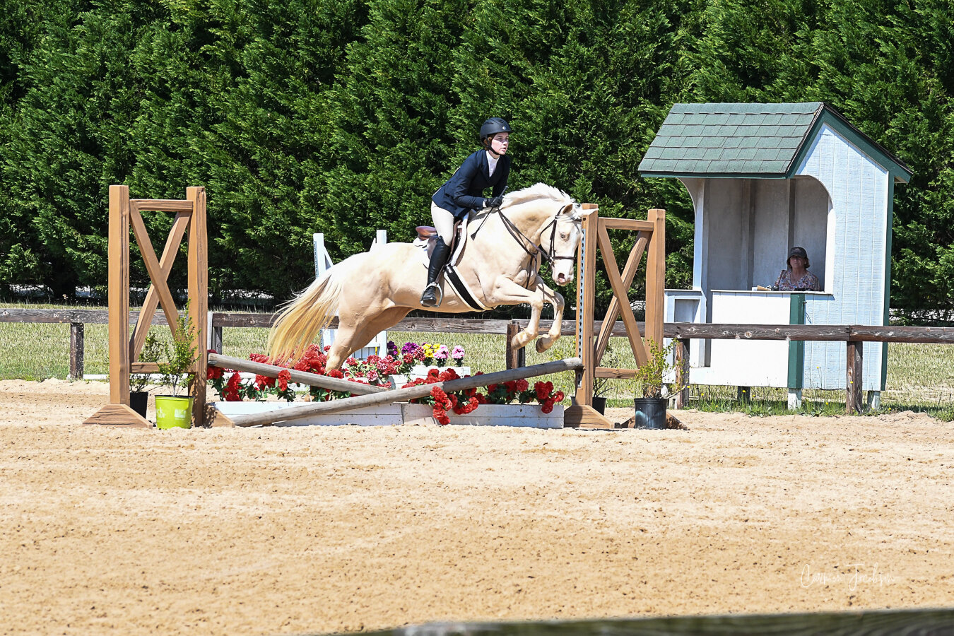 Image for Carolina Horsemans Connection at Tryon International - Mill Spring, NC September 24th