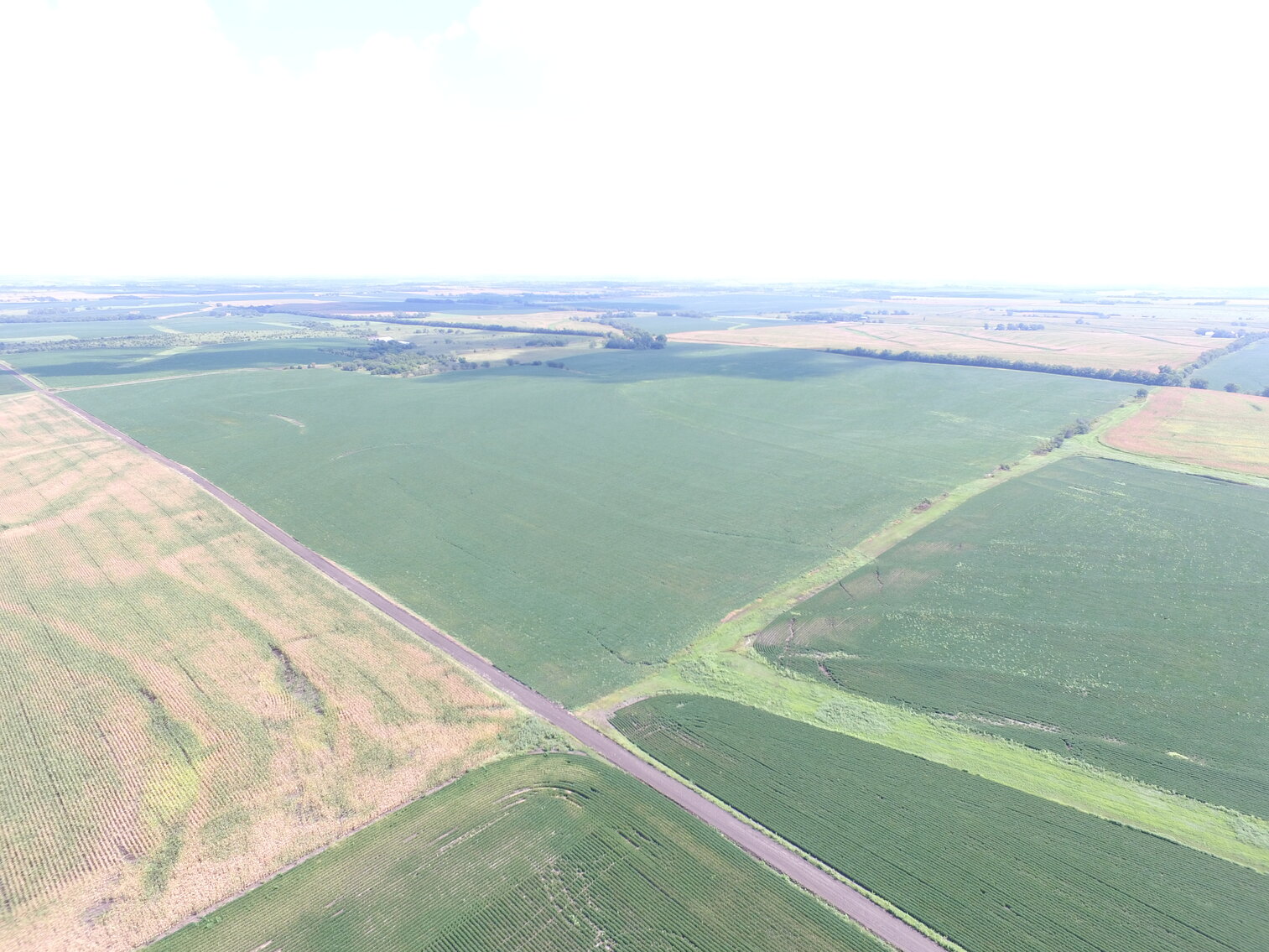 Tract 1: 136 +/- Acres Farmland
