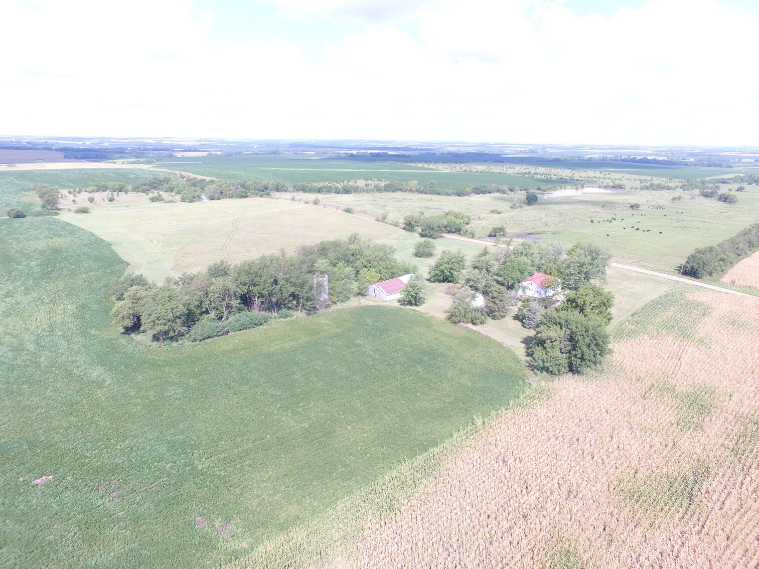 Tract 2: House & Approx. 21.6 Acres