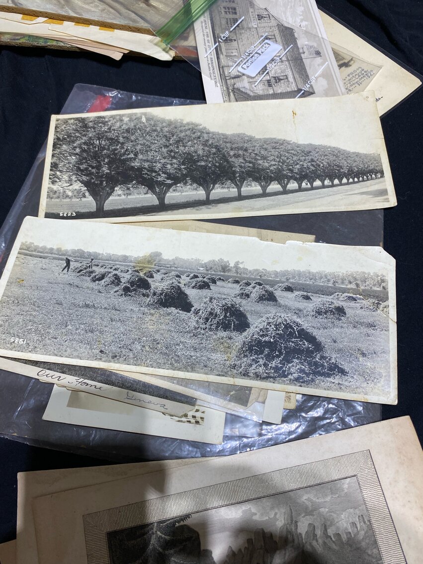 Image for MASSIVE COLLECTOR'S ESTATE AUCTION