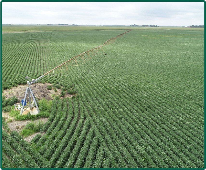 Image for Closed - Hamilton Co., IA - 317.50 Ac., m/l (000-3815-01)