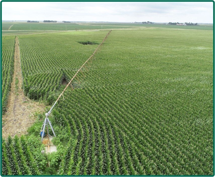 Image for Closed - Hamilton Co., IA - 317.50 Ac., m/l (000-3815-01)