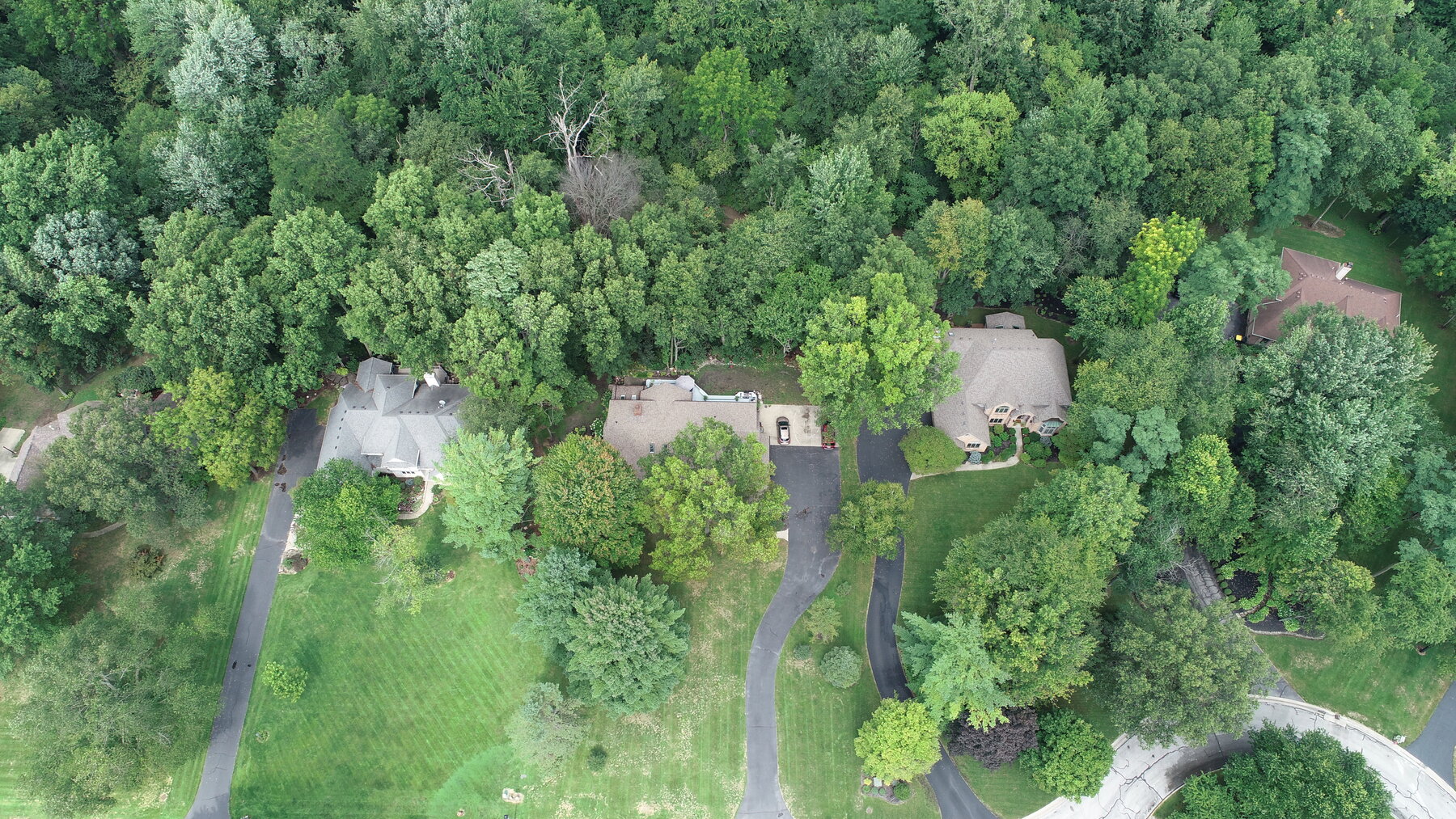 Image for 11236 Birch Pointe Drive, Whitehouse, Ohio 43571