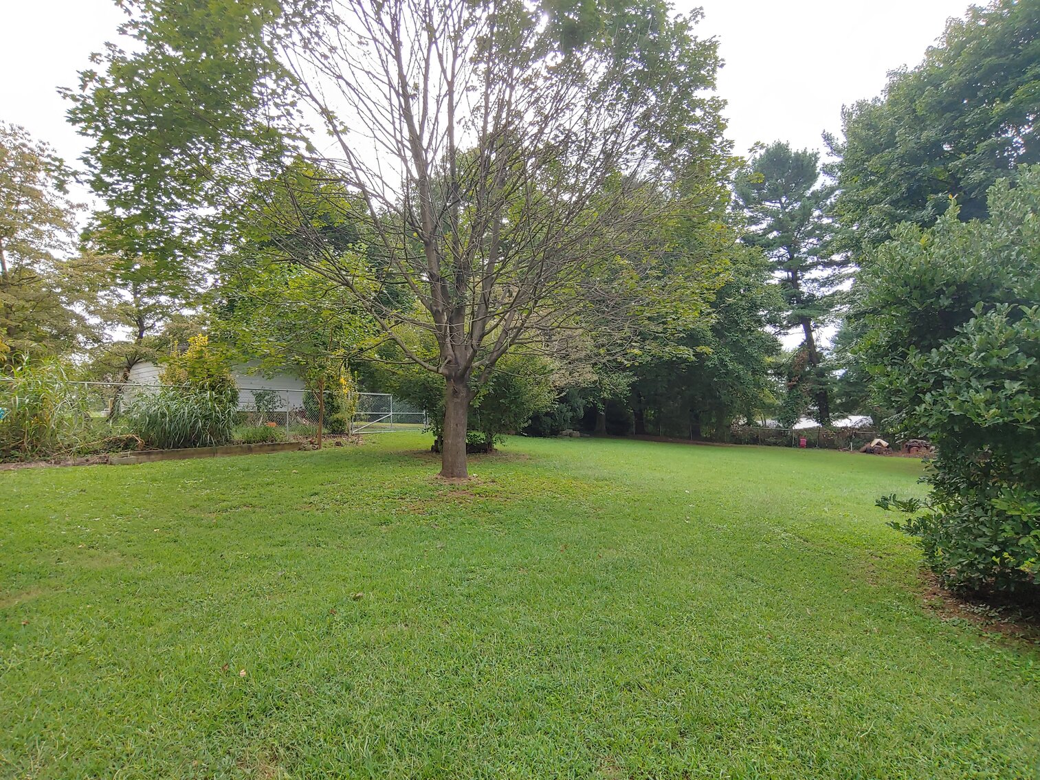 Image for 4 BR, 3 BA BRICK & VINYL SIDED HOME W/ ATT. GARAGE & DET. COMMERCIAL GARAGE W/ OVERSIZED ENTRANCE DOORS ON 0.48+/- ACRES