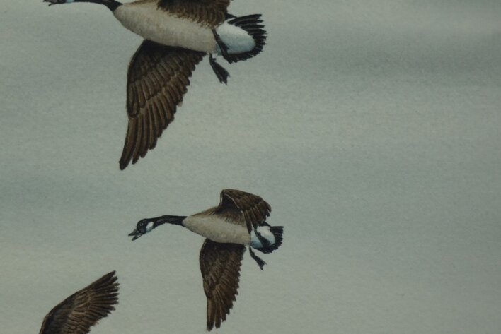 Image for Three Day Fall Sportsman's Auction Session Two 2022