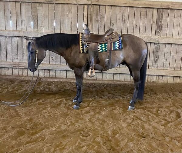 KS Select Fall Sale Clarion, Pennsylvania September 17th