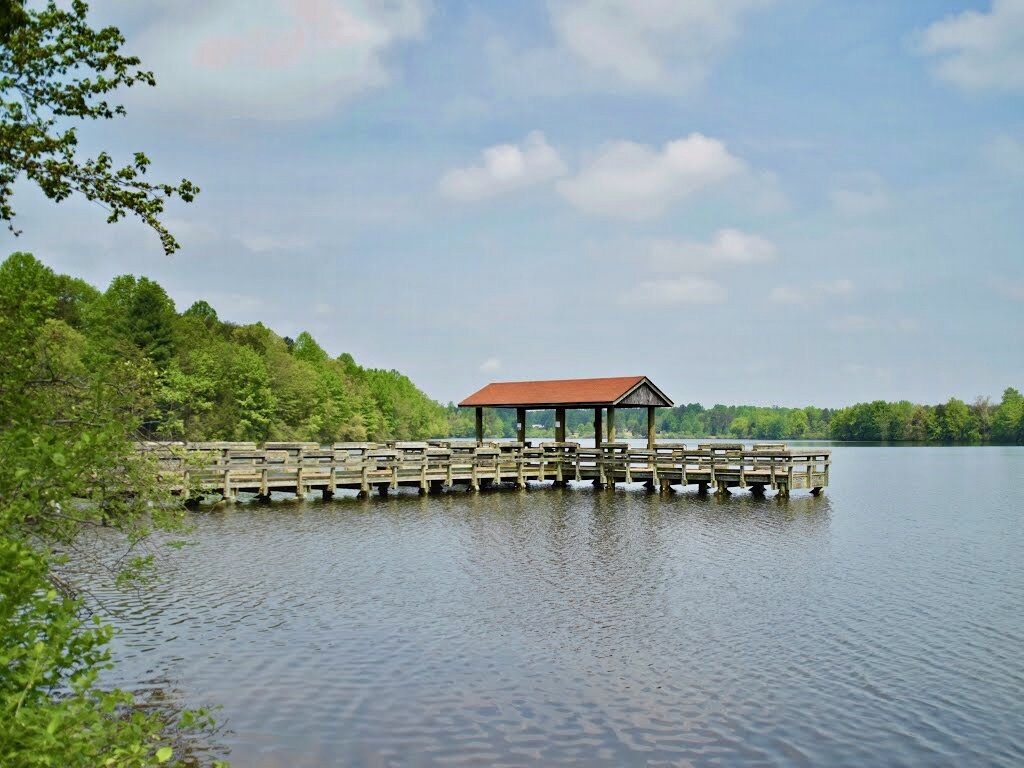 Image for 3 BR/2.5 BA Waterfront Home w/30.5 +/- Acres on Lake Orange