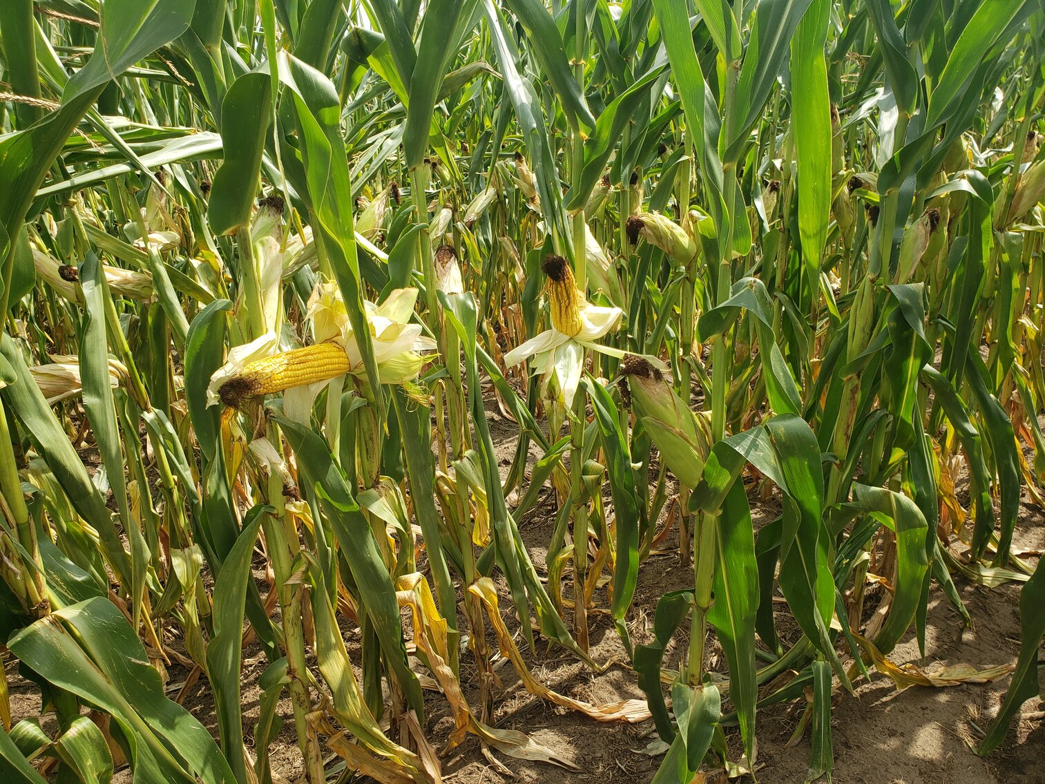 Image for 2,555 +/- Acres in Garfield County, NE