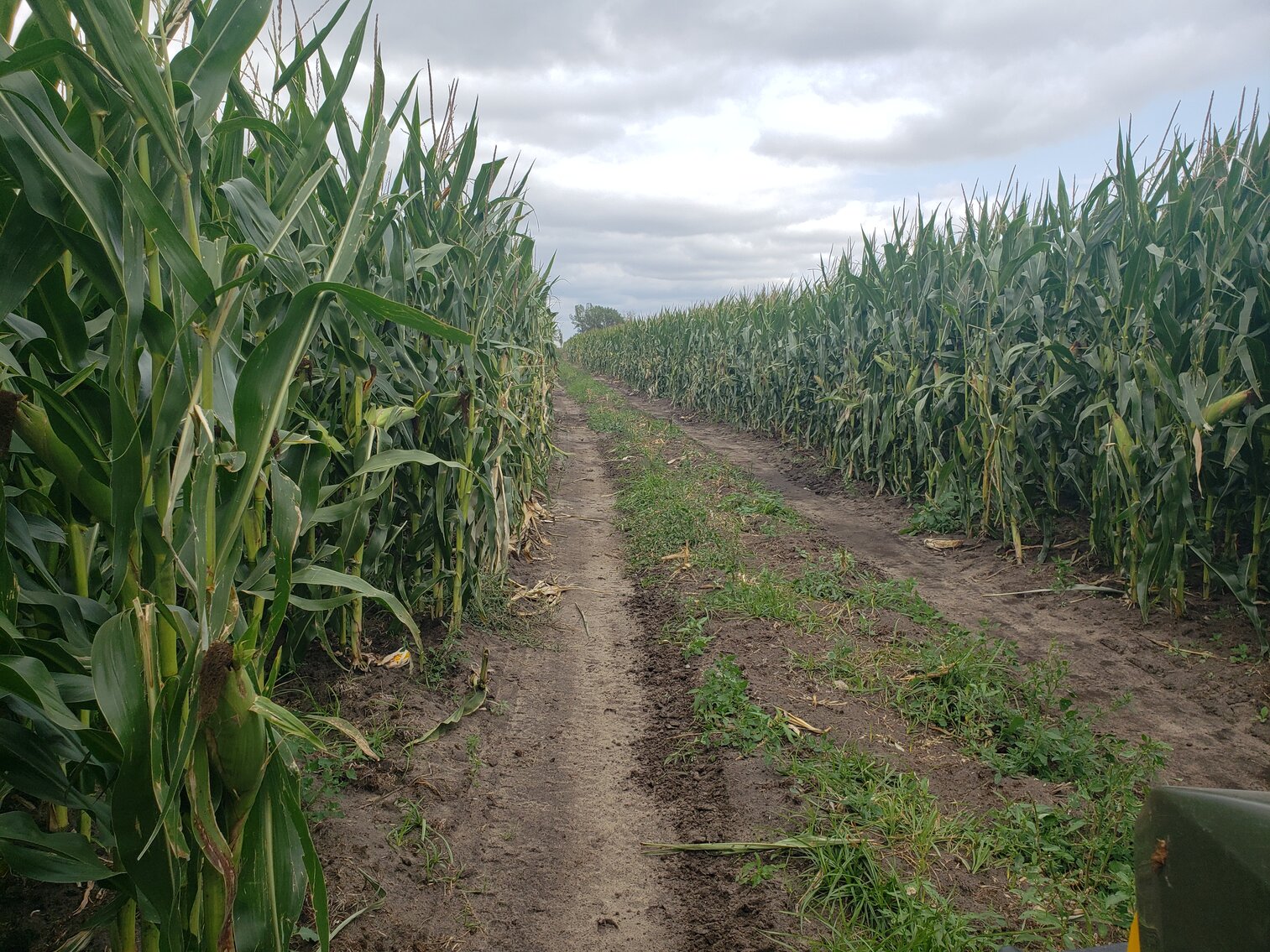 Image for 2,555 +/- Acres in Garfield County, NE