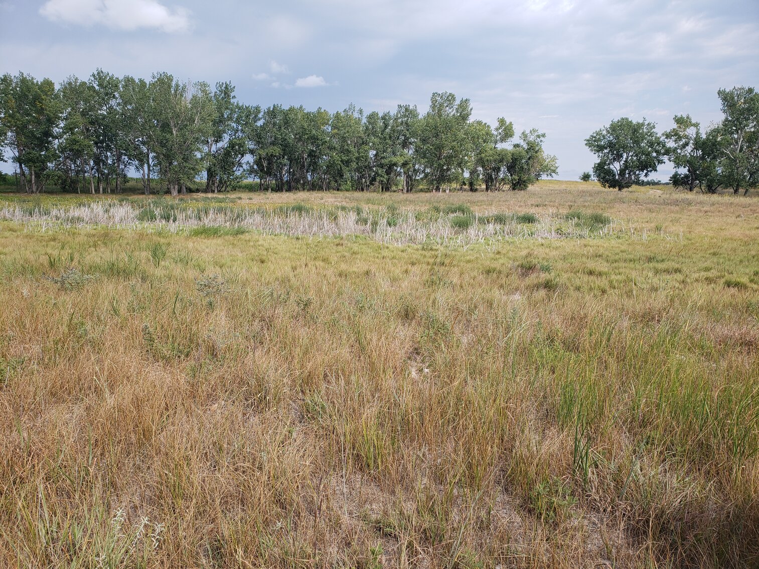 Image for 2,555 +/- Acres in Garfield County, NE