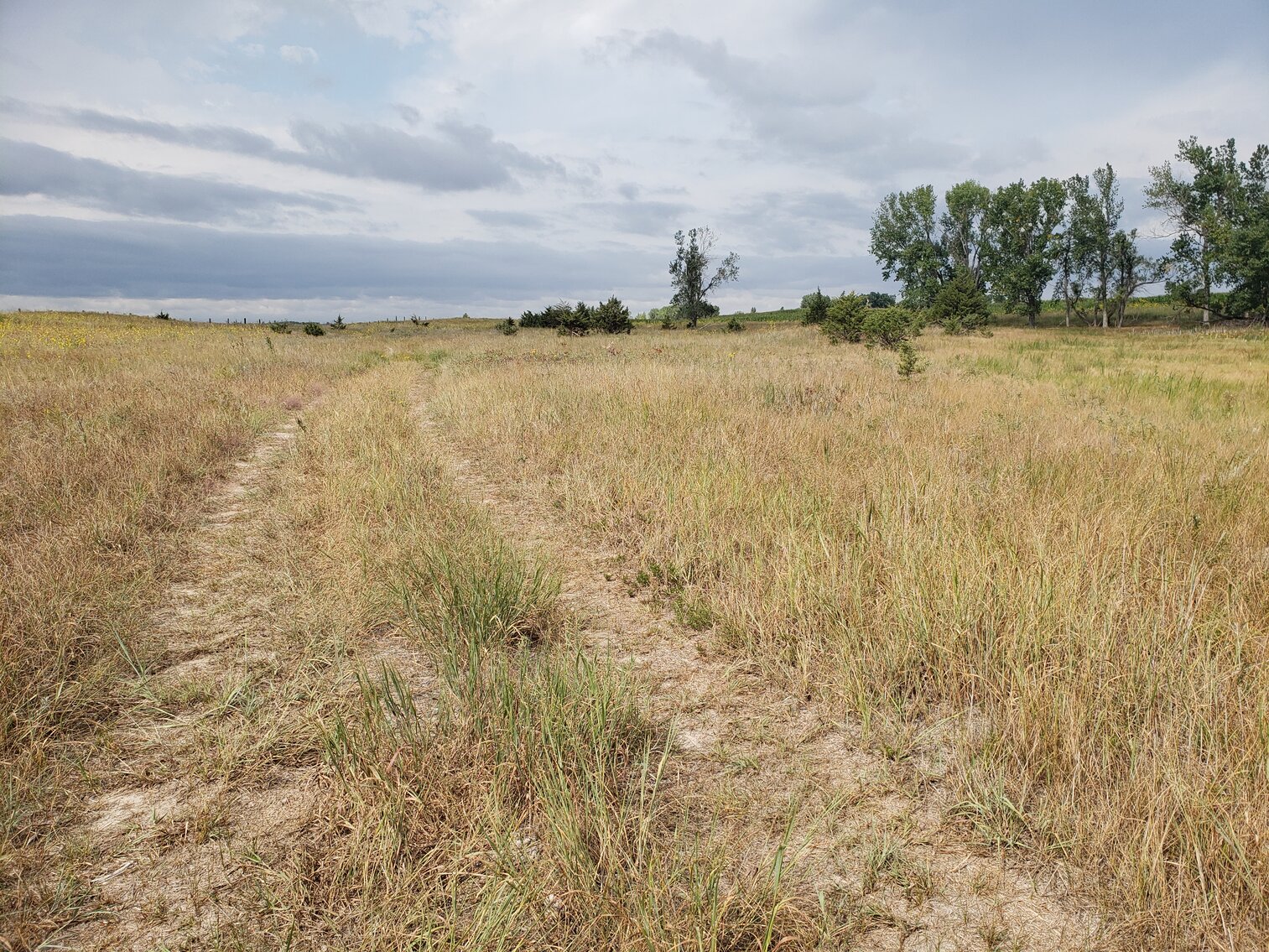 Image for 2,555 +/- Acres in Garfield County, NE