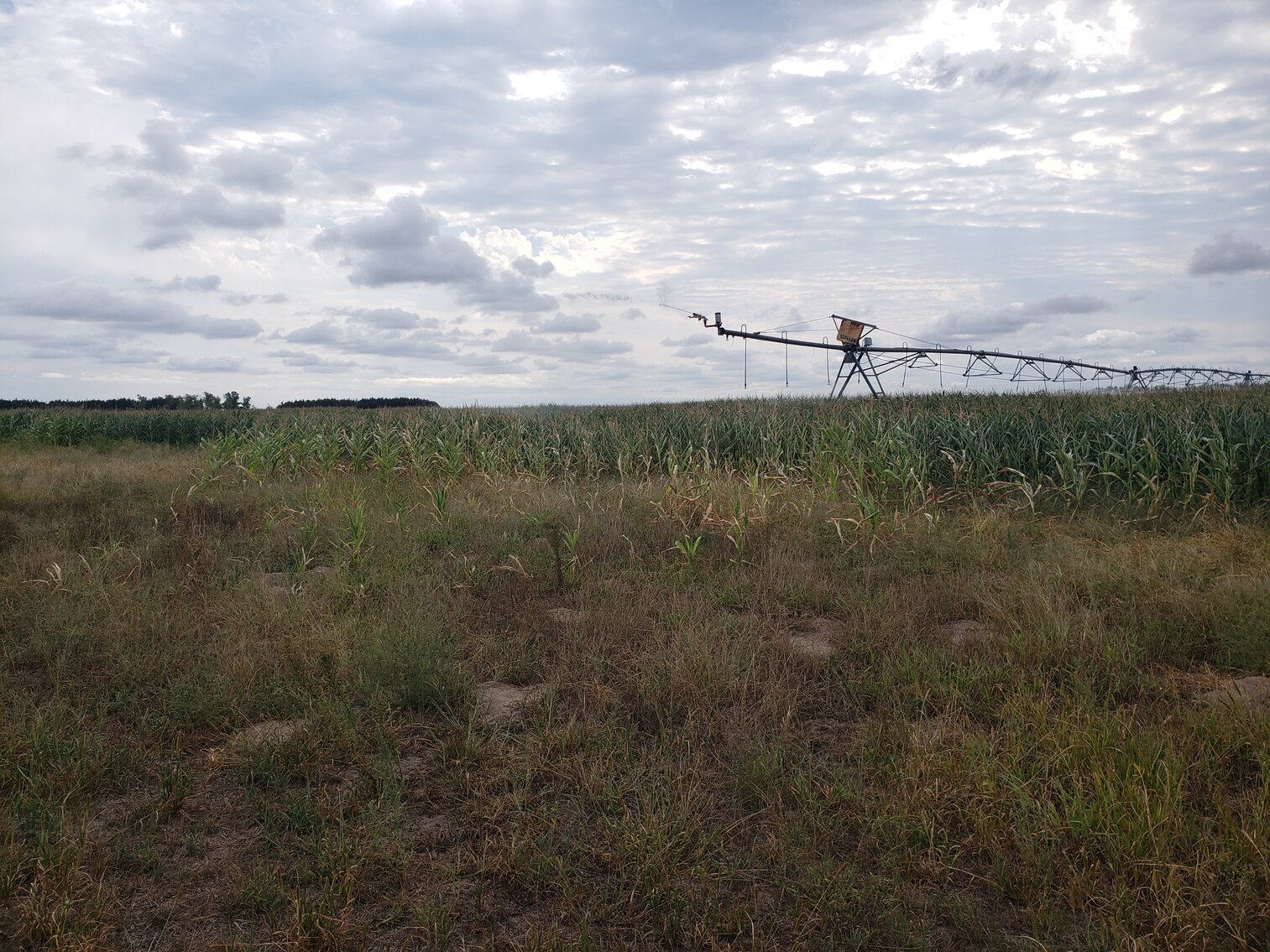 Image for 2,555 +/- Acres in Garfield County, NE