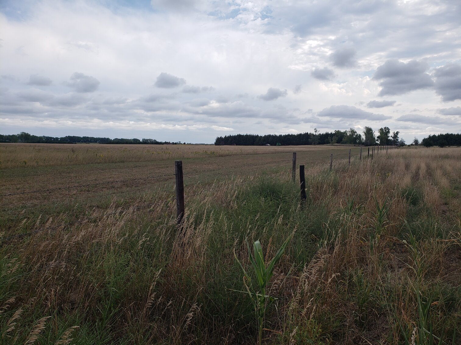 Image for 2,555 +/- Acres in Garfield County, NE