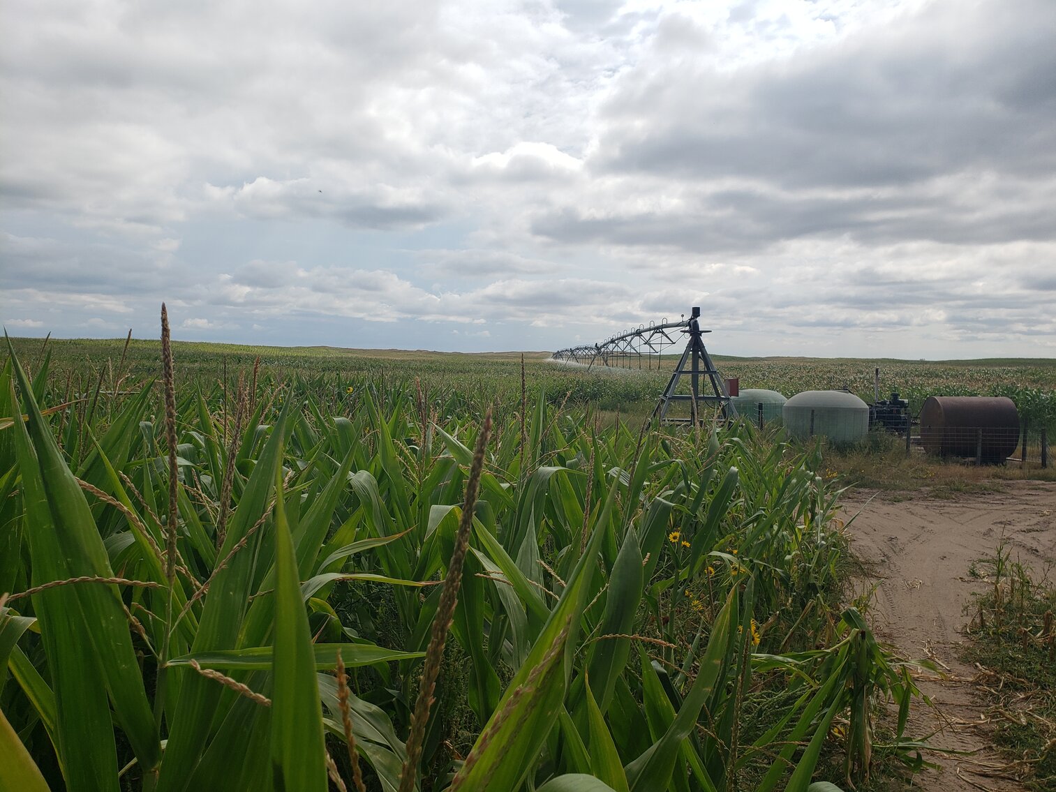 1,595 +/ Acres in Garfield County, NE