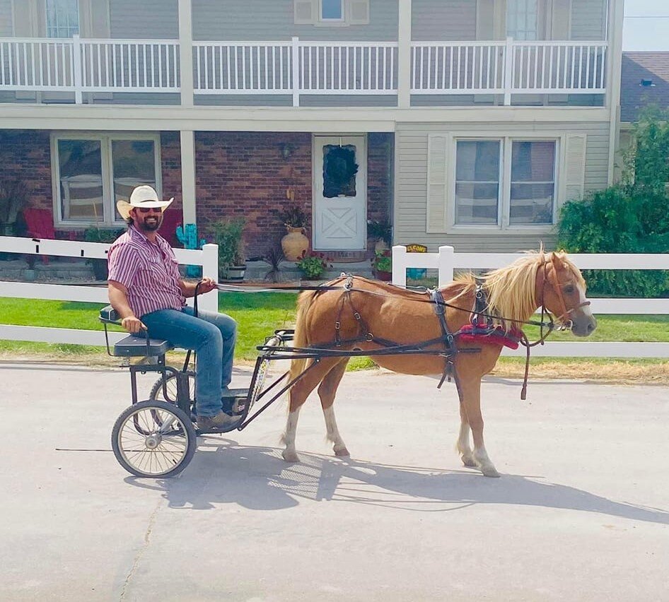 Gordon Livestock Fall Catalog Horse Sale Gordon, Nebraska SUNDAY