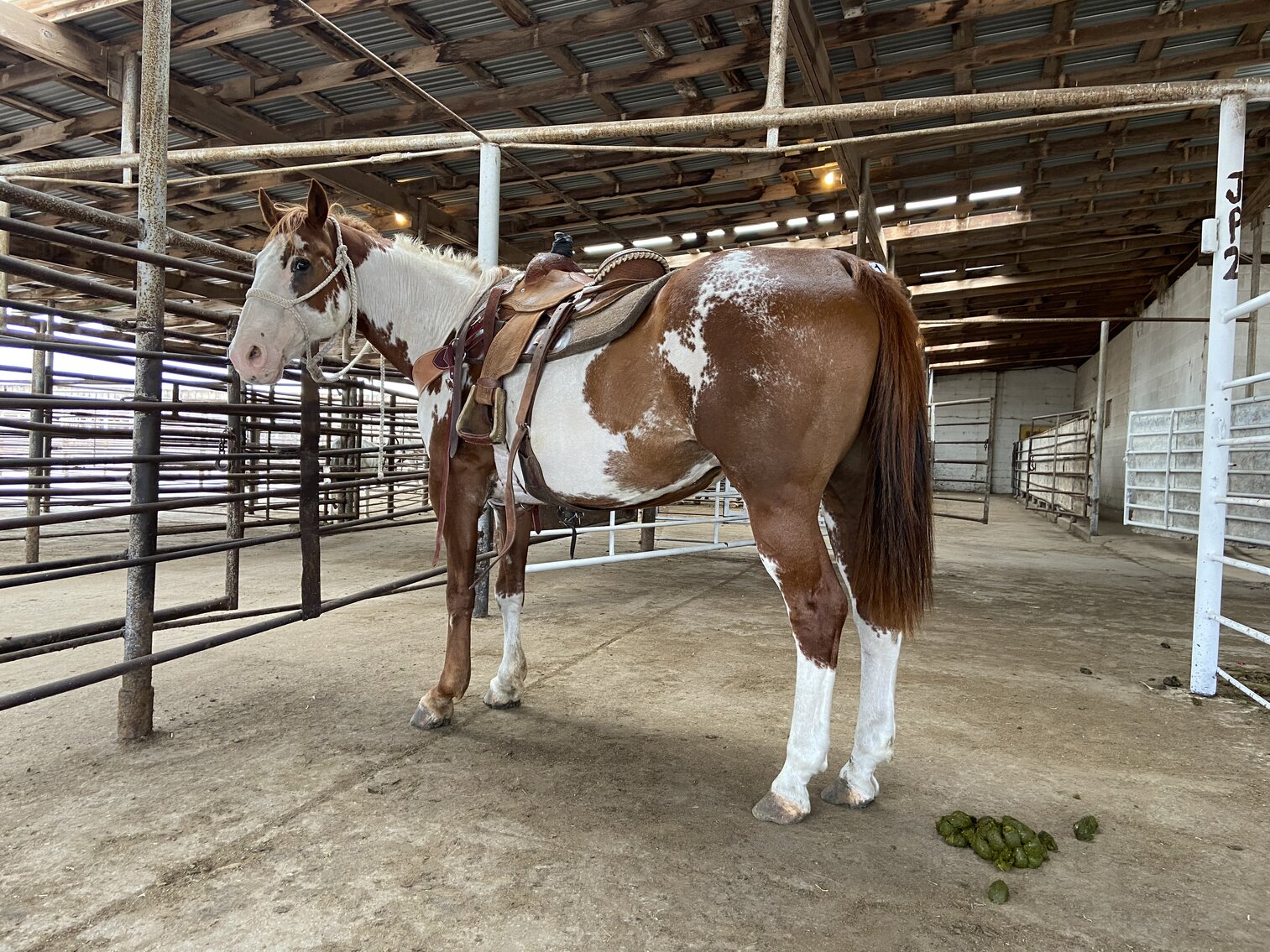 Central Livestock Horse Sale September 10th South Hutchinson, Kansas