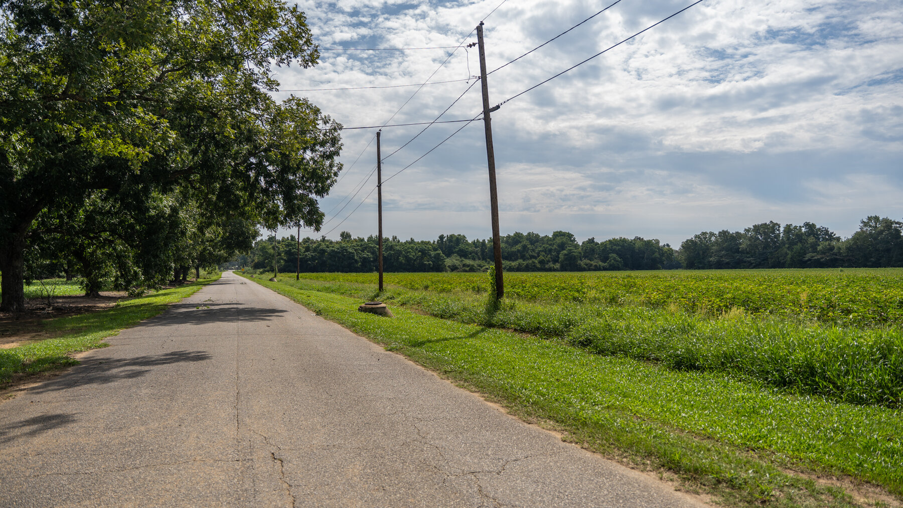 Image for 79 +/- Acres  Row Crop Farmland Opportunity  Dooly County, Georgia