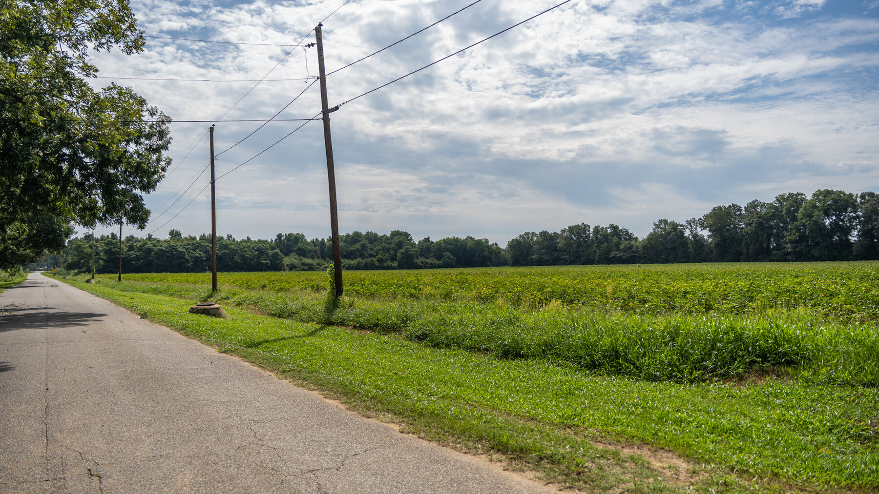 Image for 79 +/- Acres  Row Crop Farmland Opportunity  Dooly County, Georgia