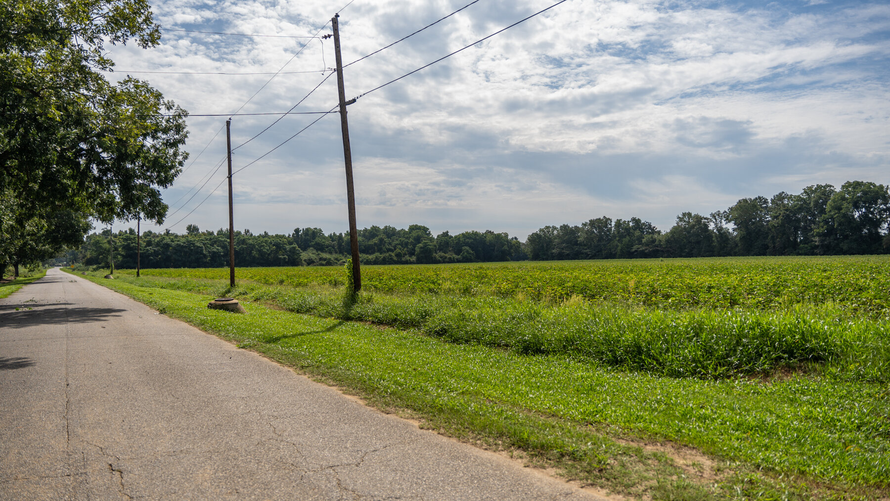 Image for 79 +/- Acres  Row Crop Farmland Opportunity  Dooly County, Georgia