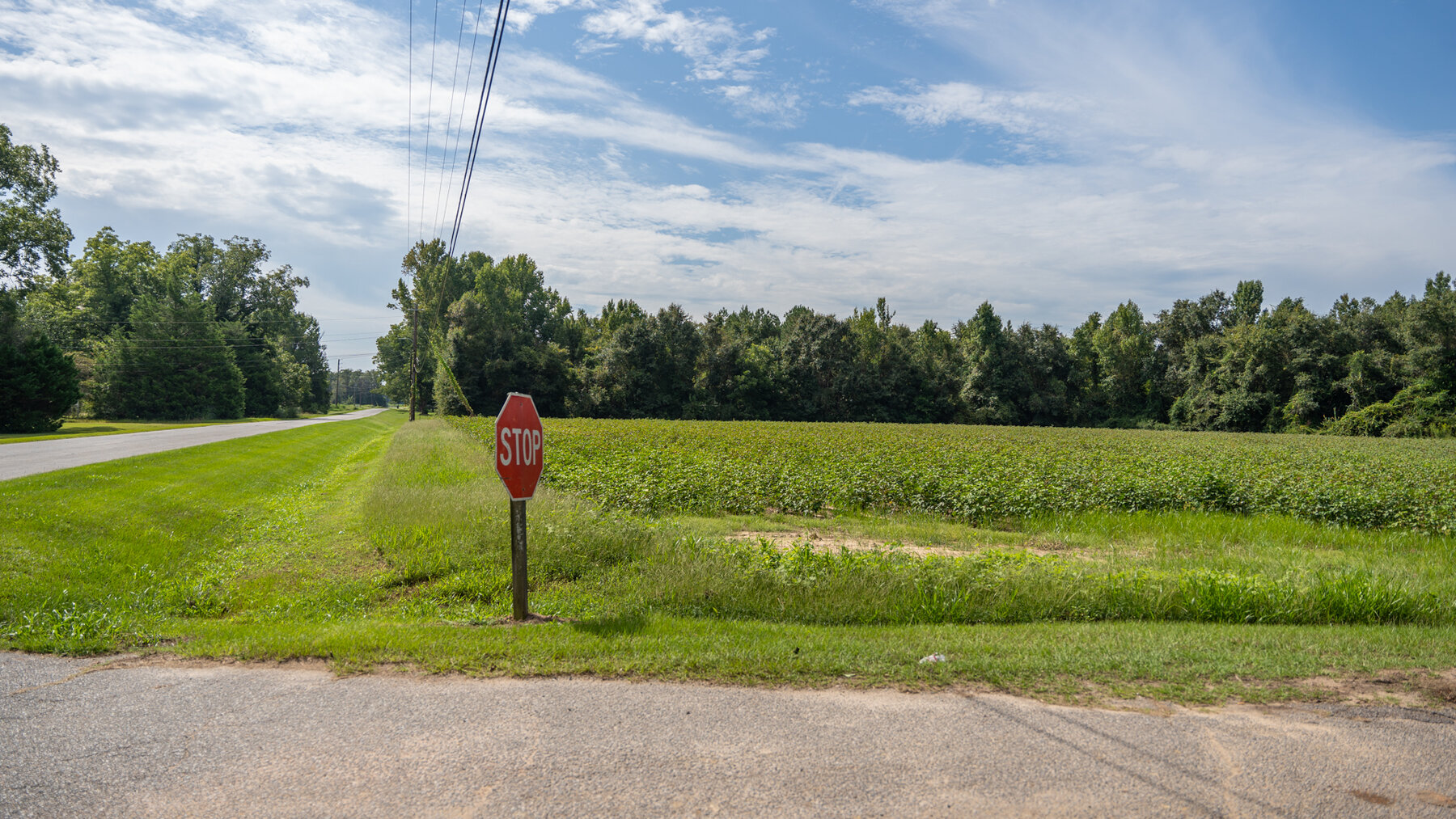 Image for 79 +/- Acres  Row Crop Farmland Opportunity  Dooly County, Georgia