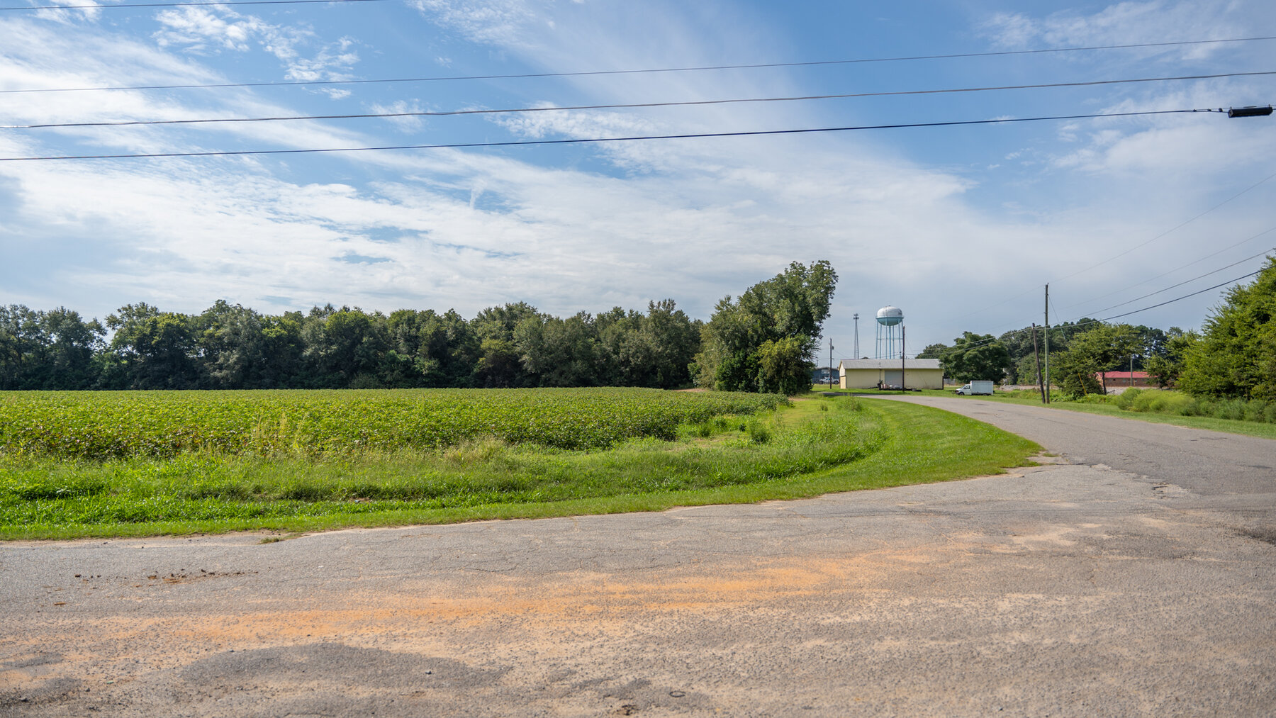 Image for 79 +/- Acres  Row Crop Farmland Opportunity  Dooly County, Georgia