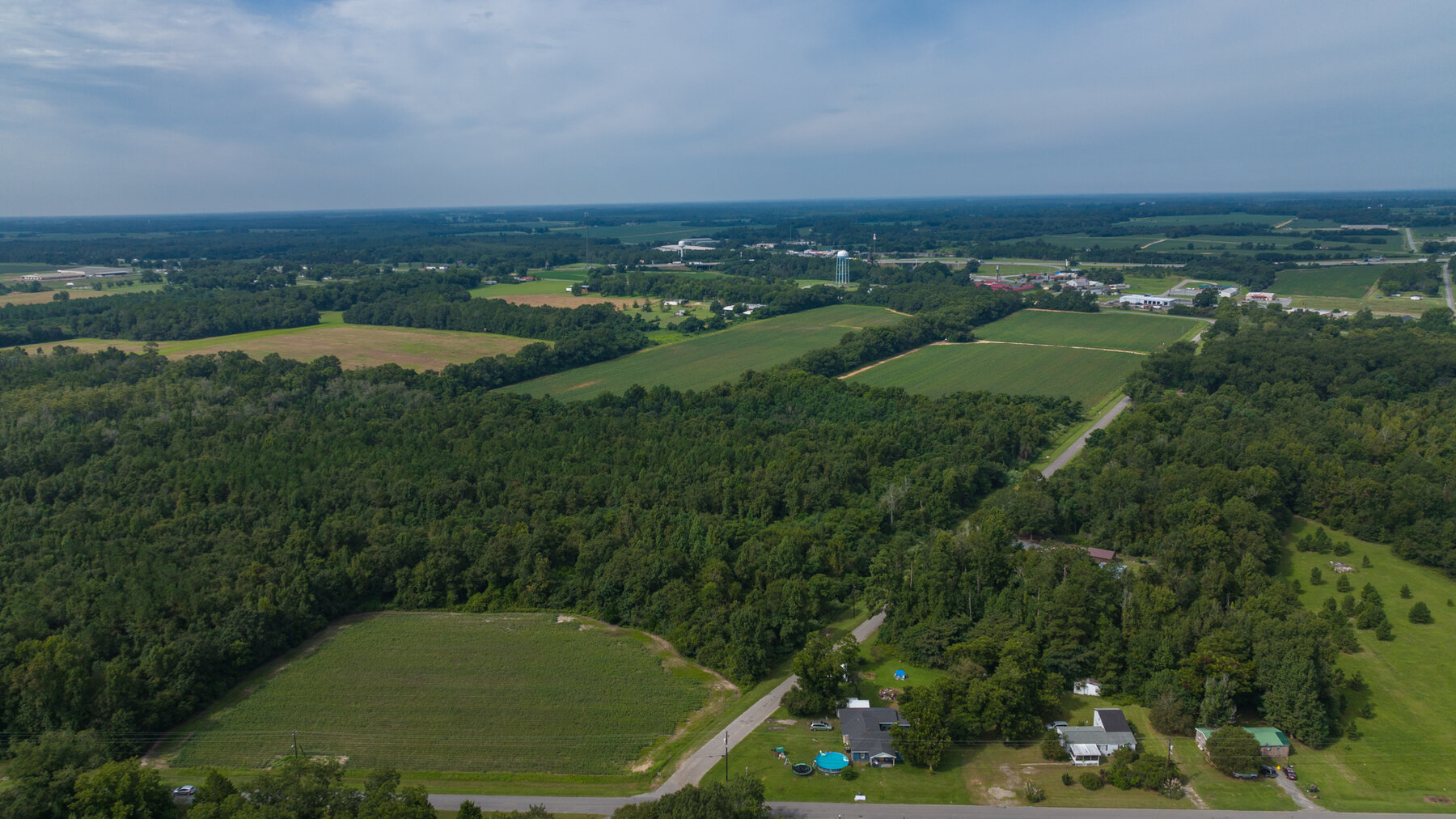 Image for 79 +/- Acres  Row Crop Farmland Opportunity  Dooly County, Georgia