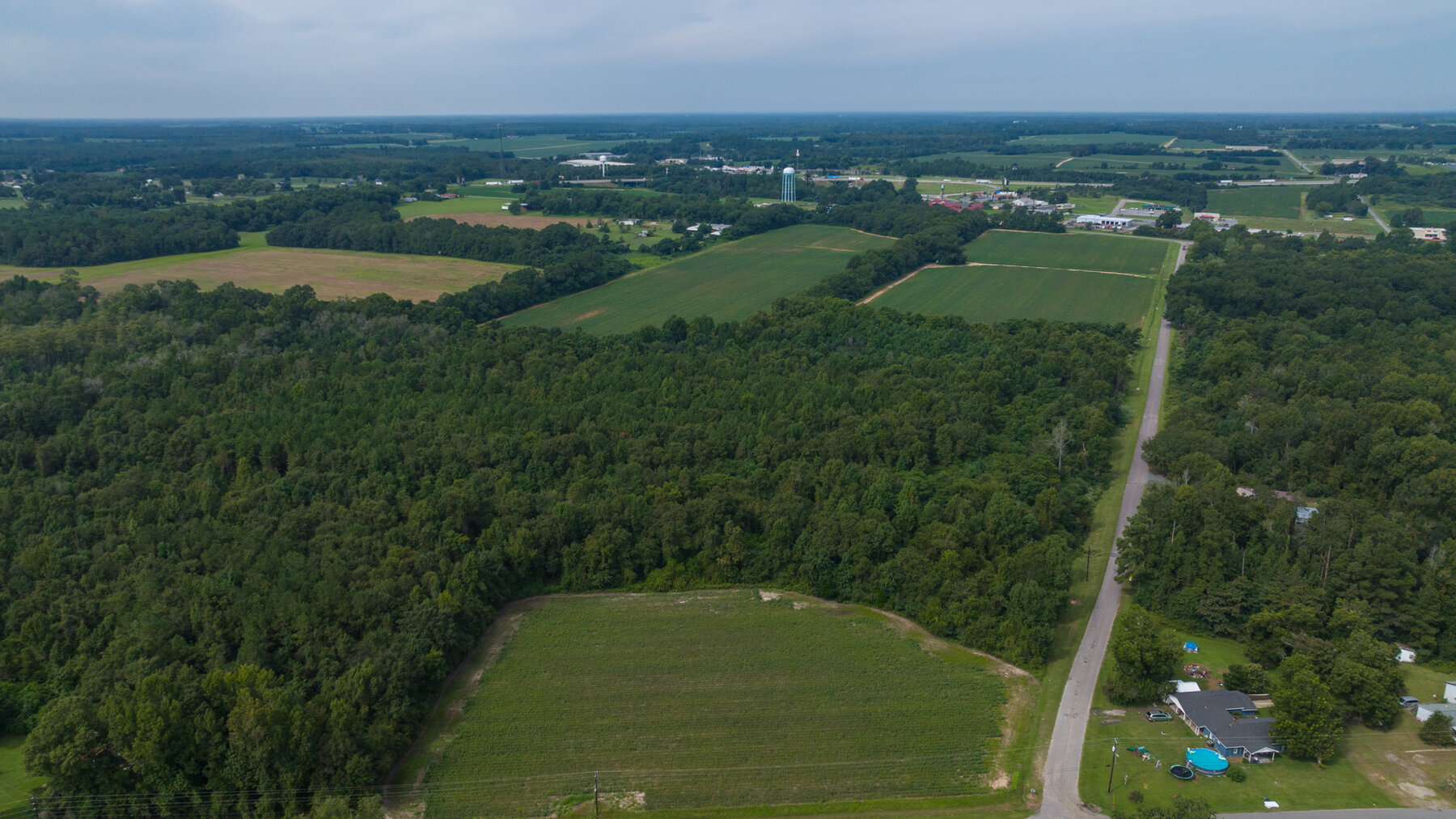 Image for 79 +/- Acres  Row Crop Farmland Opportunity  Dooly County, Georgia