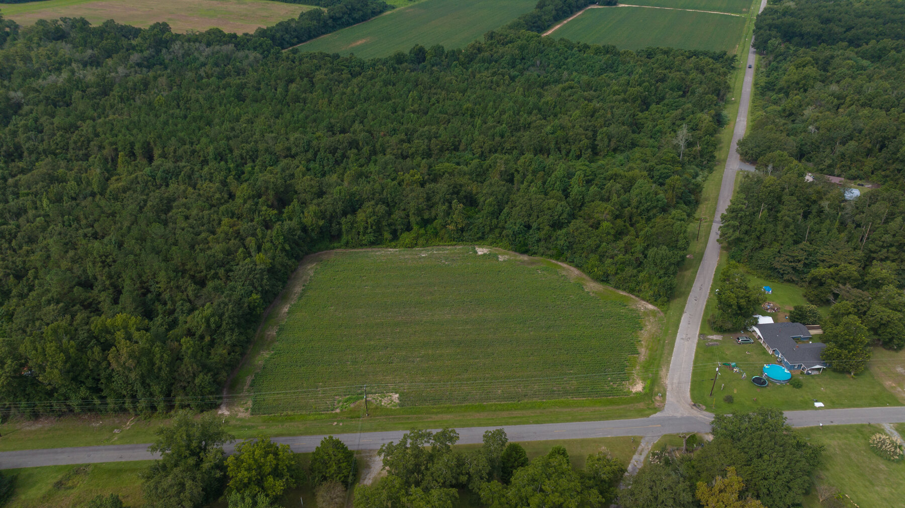 Image for 79 +/- Acres  Row Crop Farmland Opportunity  Dooly County, Georgia