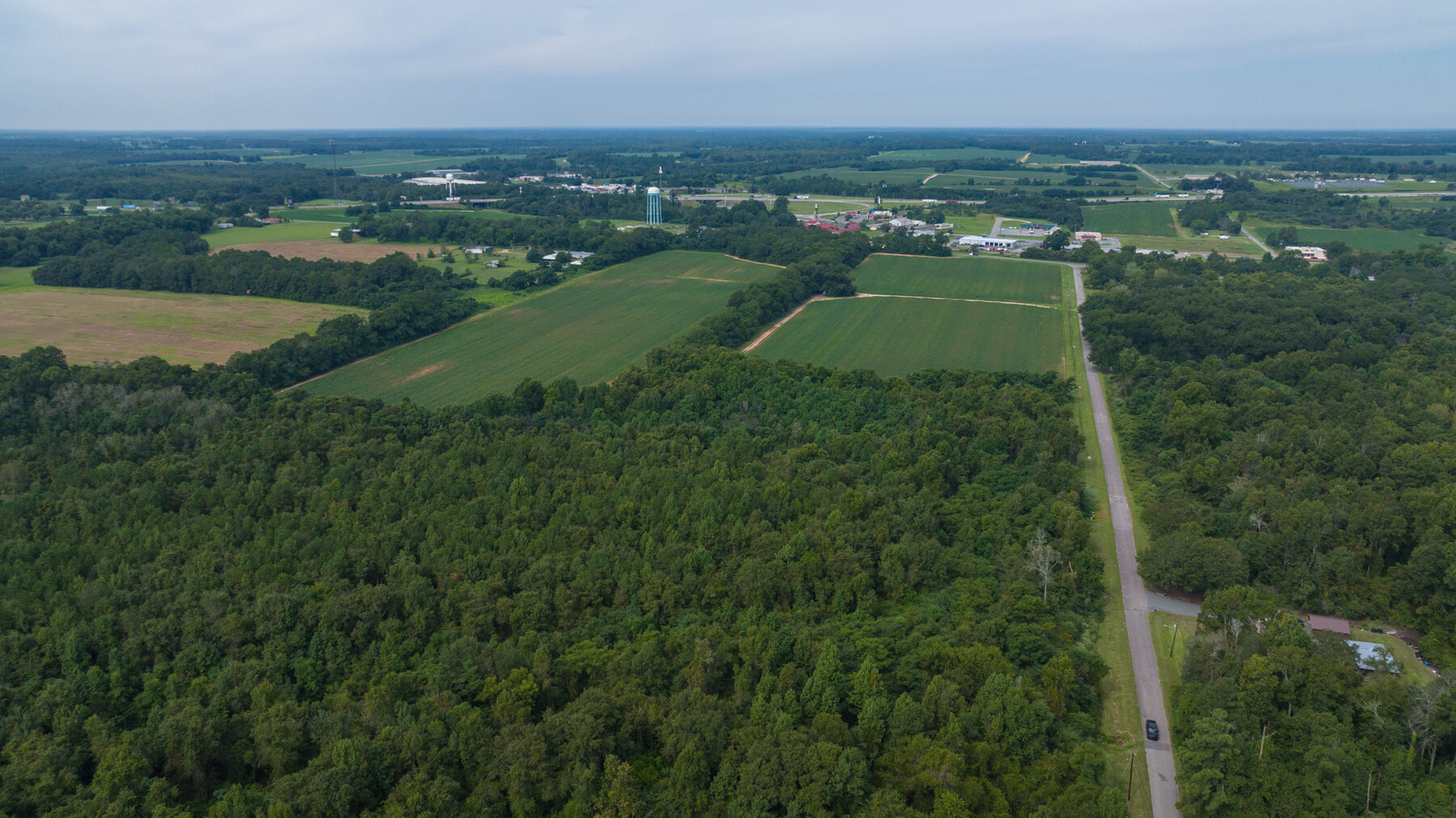 Image for 79 +/- Acres  Row Crop Farmland Opportunity  Dooly County, Georgia
