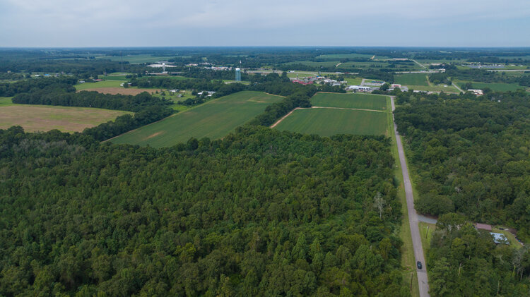 Image for 79 +/- Acres  Row Crop Farmland Opportunity  Dooly County, Georgia