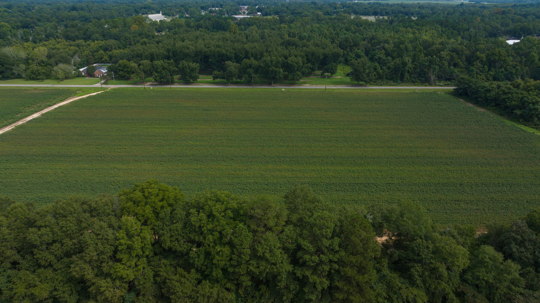 Image for 79 +/- Acres  Row Crop Farmland Opportunity  Dooly County, Georgia