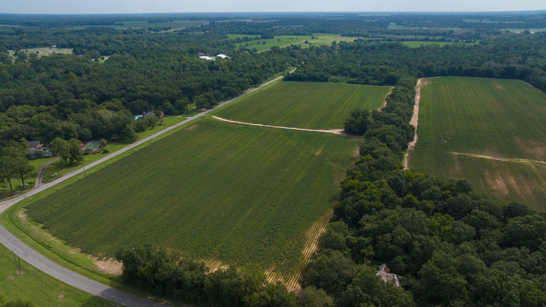 Image for 79 +/- Acres  Row Crop Farmland Opportunity  Dooly County, Georgia
