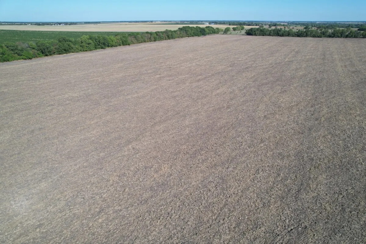 80 Acres Northeast Sedgwick County, Kansas Tillable Farm Ground photo 3