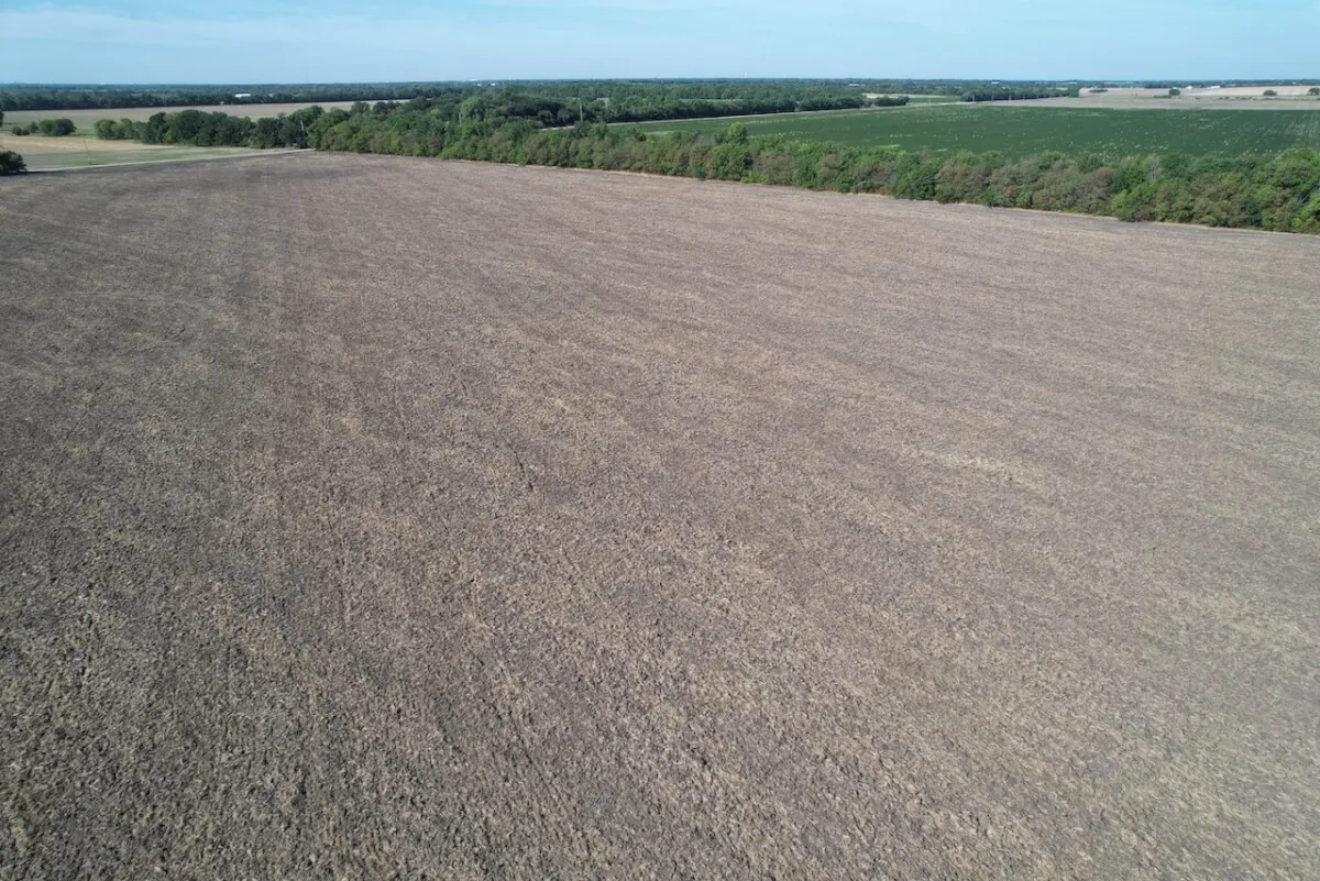 80 Acres Northeast Sedgwick County, Kansas Tillable Farm Ground photo 4